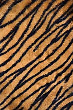 Tiger print carpet