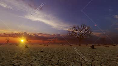 Close up of a tree stump, cracked earth and illegal deforestation against magical sunset, 4K