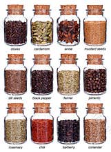 Glass bottles full of different species isolated