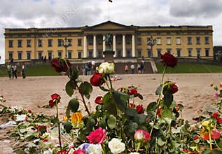 Roses outside the norwegian castle