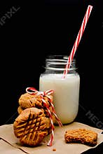 Keto Peanut Butter Cookies with Almond Milk