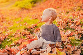Cute little girl sitting on the covered leaves of the earth watching the leaves fall. Happy childhood. The first
