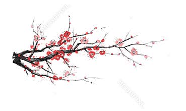 Realistic sakura blossom - Japanese cherry tree isolated on white background. Artistic branch sakura blossom. Vector