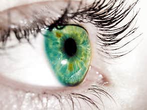 Green eye