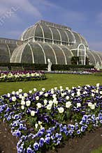 Palm house kew gardens London uk
