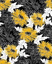 Cold flowers Chrysanthemum in full bloom on black and white.