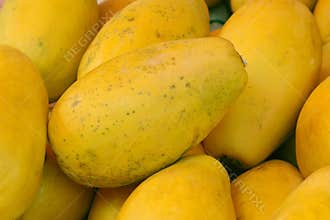 Papaya