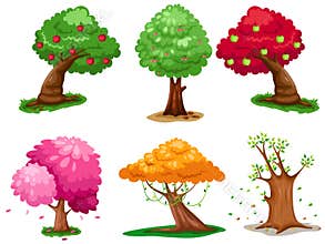 Set of tree