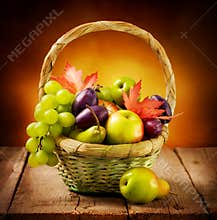 Fruits
