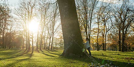 Toddler boy standing by majestic tree trunk looking at it with awe