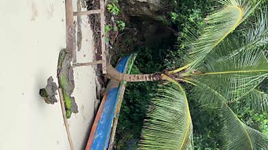 Colorful Boat On Sandy Beach Under Palm Trees In Kaimana Island. Vertical Video Of Beautiful Nature With Picturesque View
