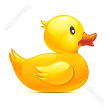 Rubber duck