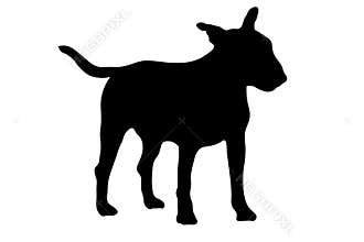 Black silhouette of bull terrier dog isolated on white background