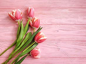 Tulip flower vintage  birthday   bouquet  on old wooden background season romantic