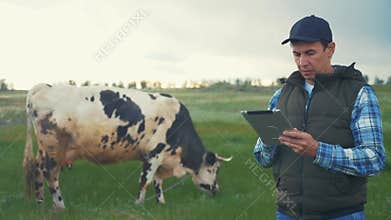 agriculture. smart farming technology. farmer milkman with a digital tablet examines the amount of milk yielded by a