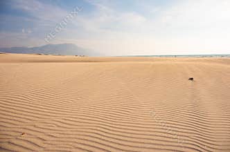 Desert Background Landscape with sand waves