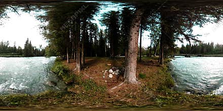 360 VR virtual reality of a wild forest. Pine forest, small fast, cold mountain river. National park.