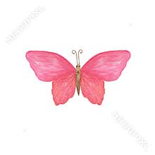 Red butterfly watercolor illustration isolated on the white background, simple hand drawn colorful clipart for cards, invitations