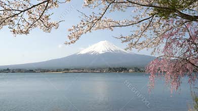 mount fuji calm and a calm lake kawaguchi
