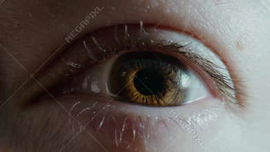 Sleepy lady opens chestnut eye looking into camera in studio