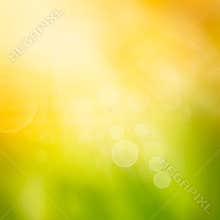 Bokeh autumn nature background