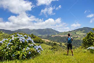 Hiker enjoying view, landscape at Azores islands, hydrangeas, hills