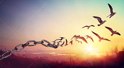 Freedom - Chains That Transform Into Birds