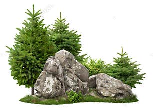 Cutout rock surrounded by pine trees