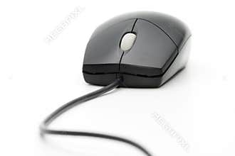 Computer mouse