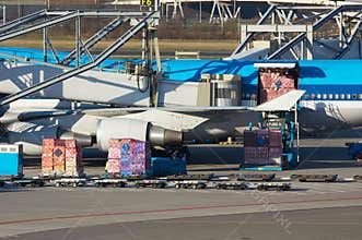 Aircraft unloading cargo