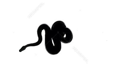 Footage of royal ball python silhouette, camera from bottom
