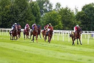 Munich, Germany - Oct 07, 2019: Horse racing at the racecourse in Munich-Riem, Germany