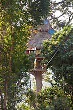 House on the Tree
