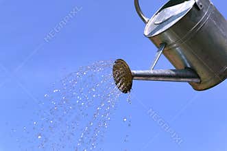 Watering can