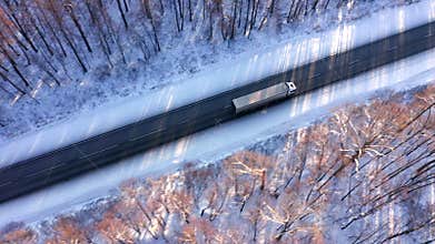 A semi-truck with a long trailer crosses the forest. Delivery of crp-sized goods to customers on time. Shining under the