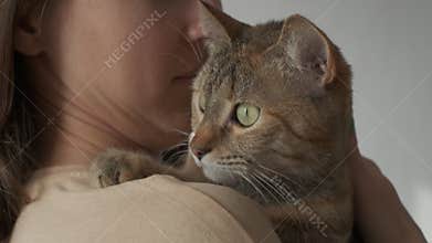 Woman holding and stroking a cat.