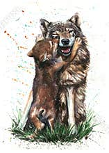 Wolf - Father and Son