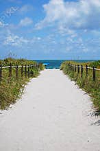 Beach dream