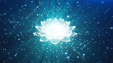 4k animation of Blue Lotus flower