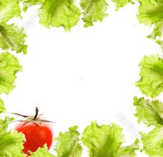 Salad and tomato border