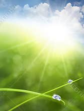Eco background with Sky, Grass, Water Drops