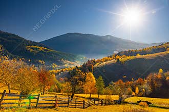 Grassy slopes with lush trees against mountains at sunset