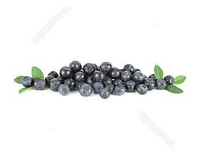 Bilberries
