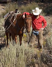 Cowboy and Horse