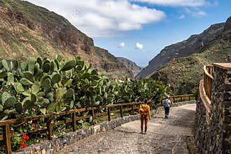 Amazing View on Barranco de Guayadeque, Gran Canaria, Canary Island, Spain, Europe