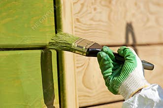 Hand with a paint brush painting wooden wall in gr