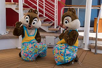 Chip and Dale in a swim outfit
