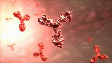 T cell of human antibody, microscopic.