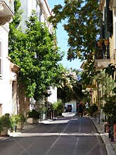 Street with a lot of plants to Athenes in Greece.