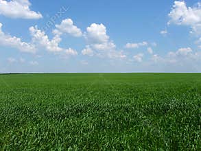 Native open spaces